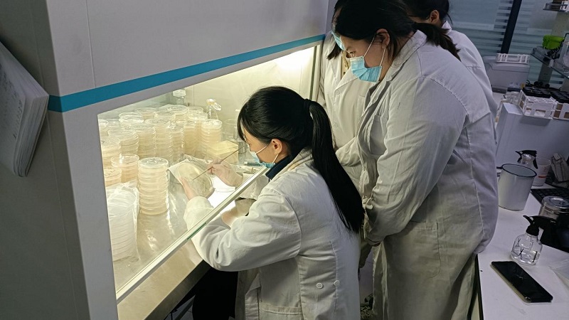 微生物檢測(cè)濾膜法操作規(guī)程是怎么樣的？